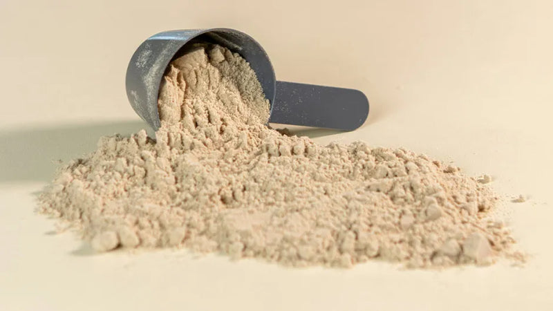 Protein Timing Is Overrated… Except When It Isn’t