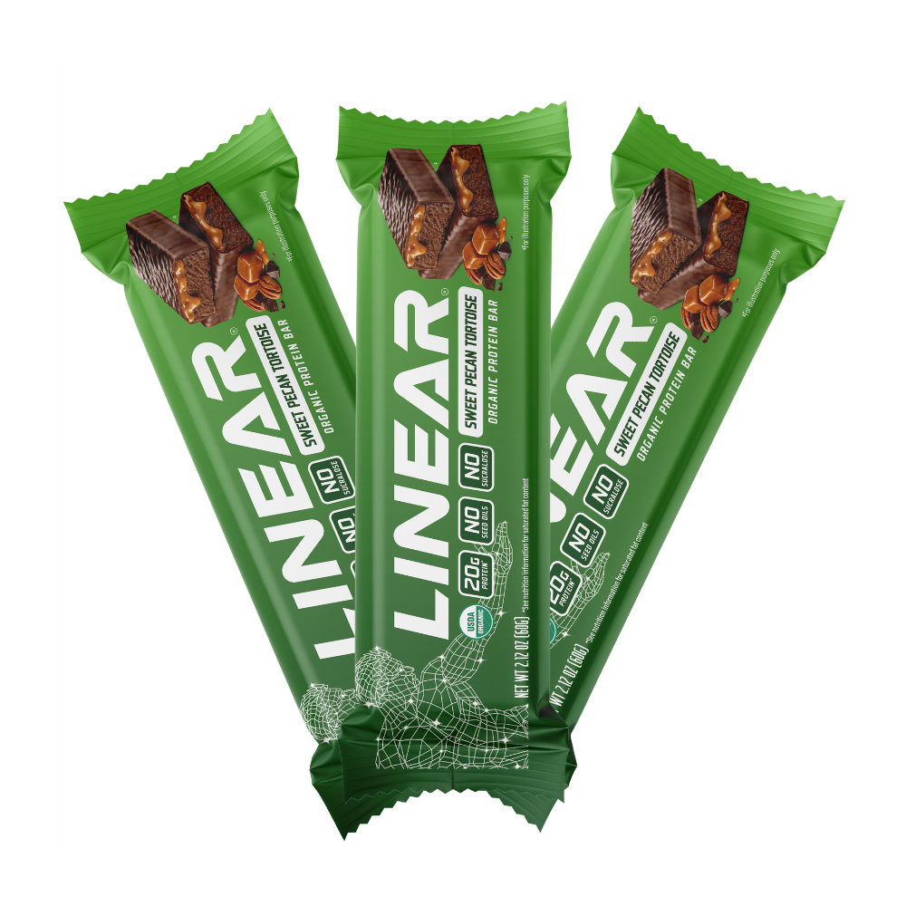 Sweet Pecan Tortoise