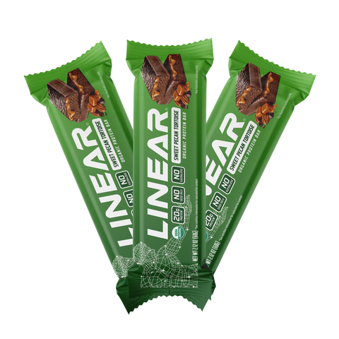 Sweet Pecan Tortoise