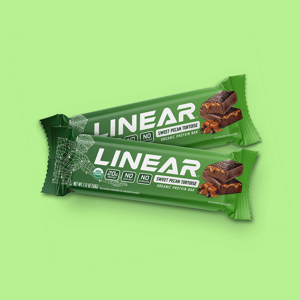 Sweet Pecan Tortoise