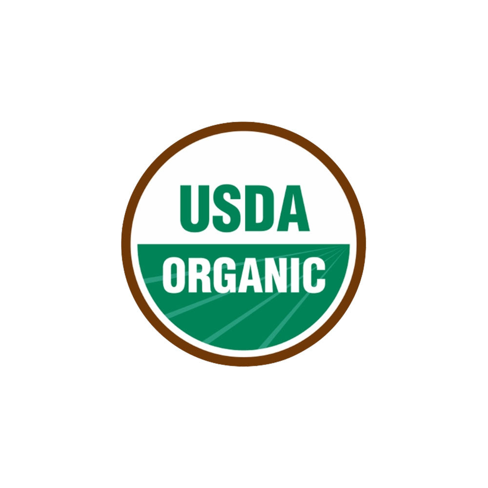 Sweet Pecan Tortoise