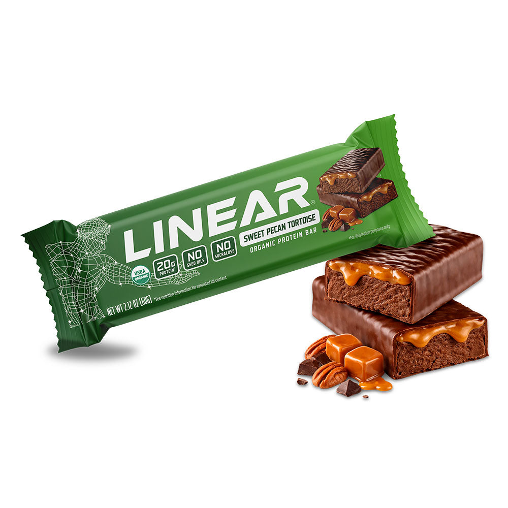 Sweet Pecan Tortoise